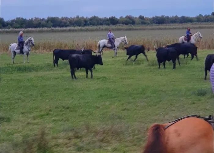 빌라 La Des Etangs